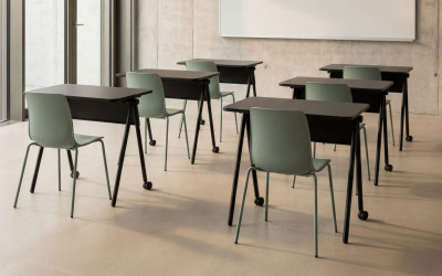 Collection_RYO-scaled-e1772556082102